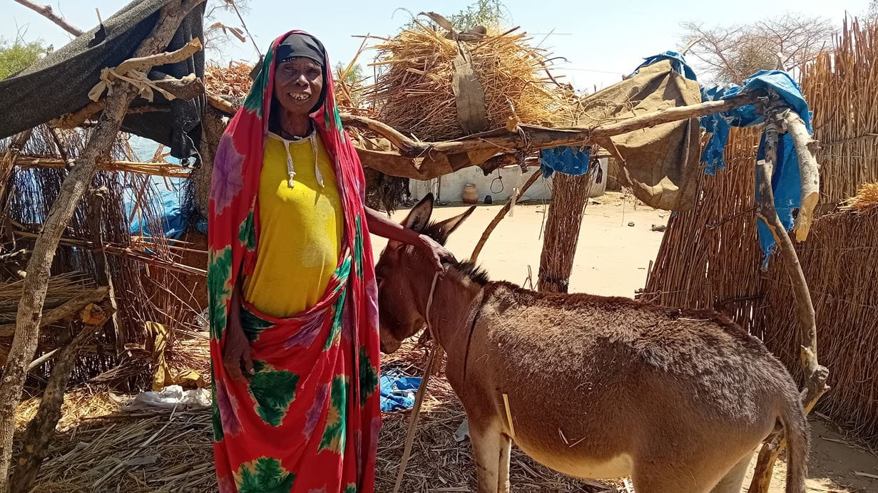 A woman in a brightly coloured head scarf stands outside with a brown donkey.