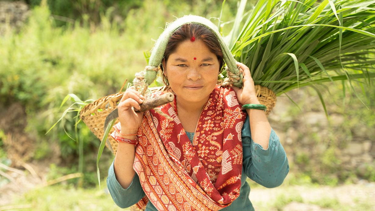 A woman in traditional Nepali dress carries a basket of harvested crops