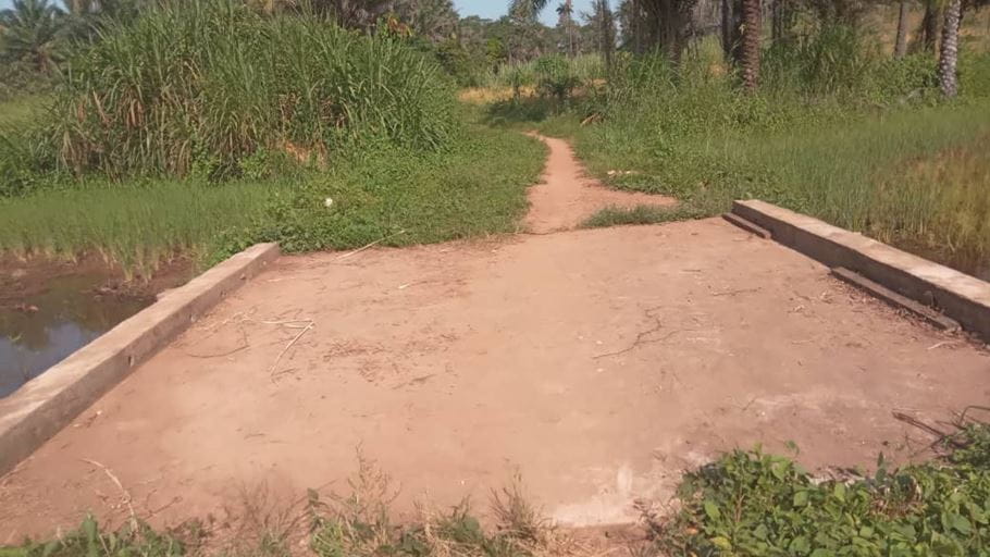 A small, simple concrete bridge leads to a path through a lush, green, tropical landscape.
