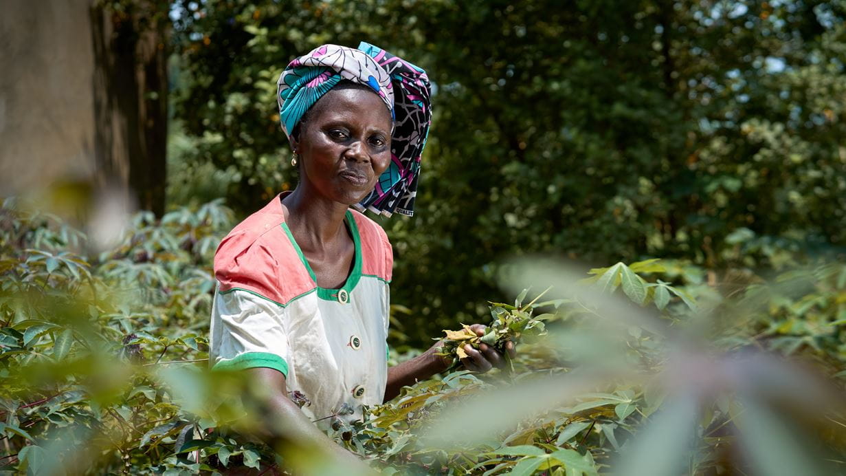 Woman in colorful headwrap tending crops in a field, looking at the camera.