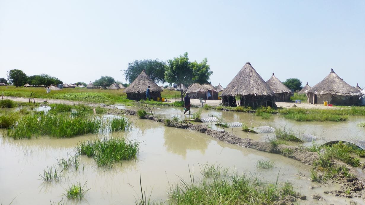 A rural landscape featuring several thatched huts surrounded by flooded fields with patches of grass, where individuals are engaged in agricultural activities under a clear blue sky.