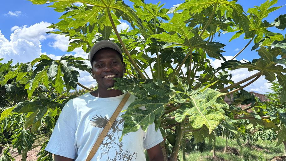 A man stands smiling beside a papaya tree in his fruit orchard in Dora, Zimbabwe.