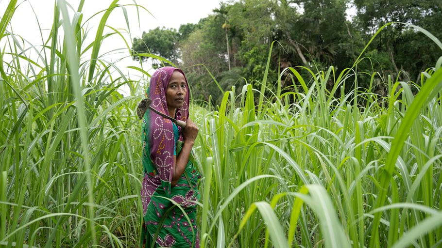 Woman in a purple and green headscarf and patterned dress stands in a field of tall green crops, a hoe resting on her shoulder, looking at the camera. Lush trees are visible in the background.
