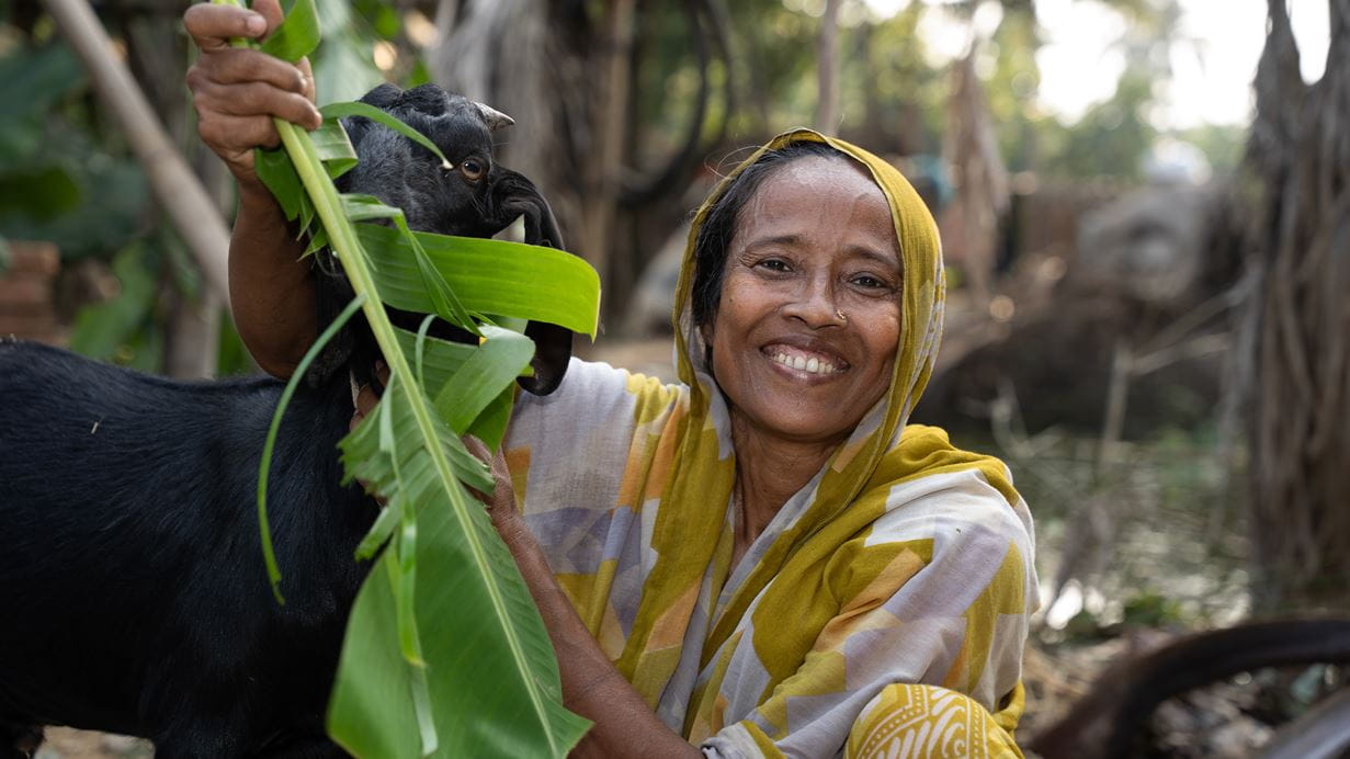 A smiling woman in a yellow headscarf feeds green leaves to a black goat.
