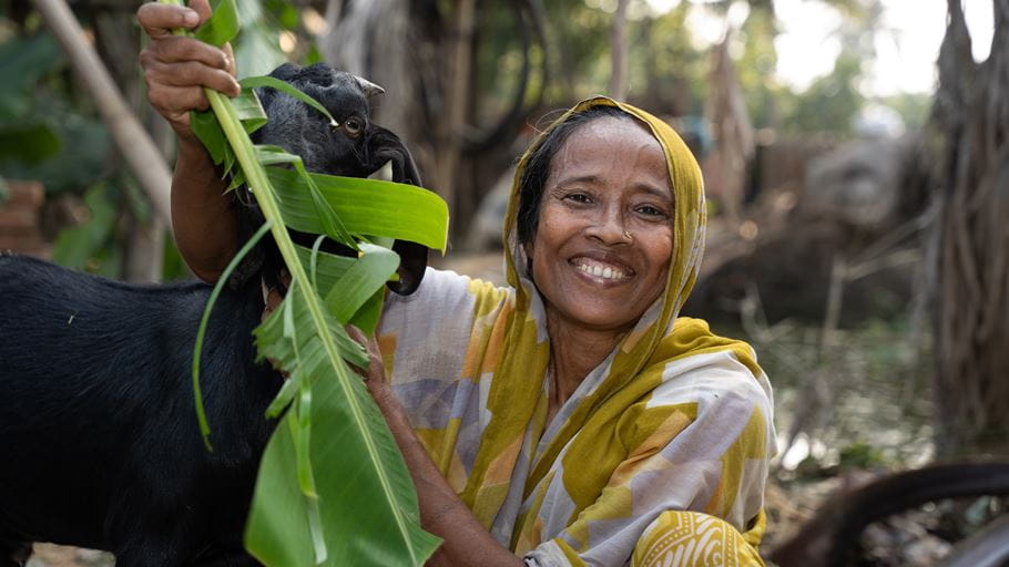 A smiling woman in a yellow headscarf feeds green leaves to a black goat.